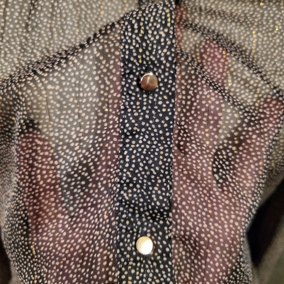 MODCLOTH sheer vintage tulle dotted blouse - Picture 4 of 14